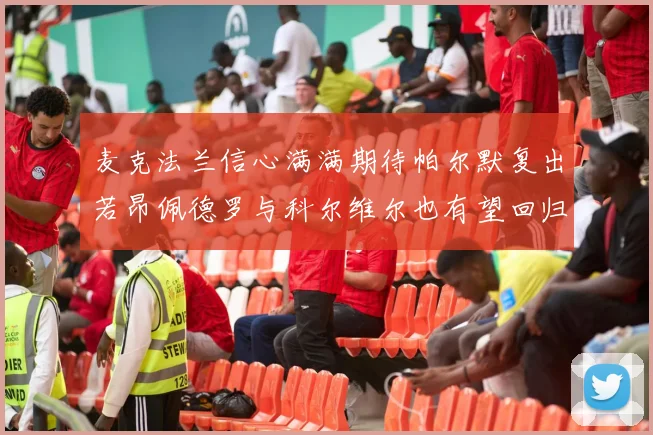 麦克法兰信心满满期待帕尔默复出若昂佩德罗与科尔维尔也有望回归