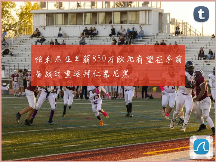 帕利尼亚年薪850万欧元有望在季前备战时重返拜仁慕尼黑