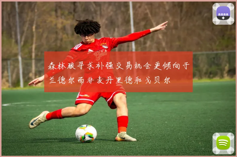 森林狼寻求补强交易机会更倾向于兰德尔而非麦丹里德和戈贝尔